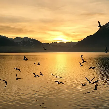 Alpenblick - Direct View Appartamento