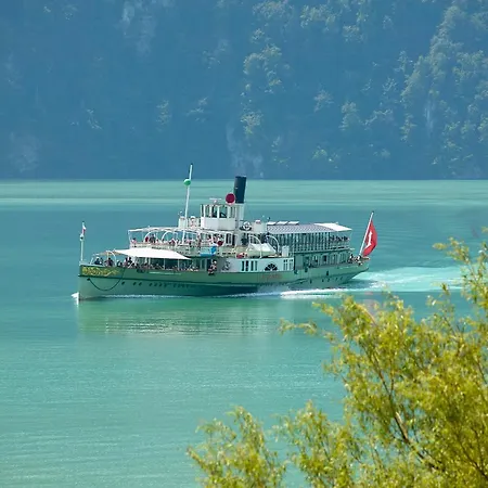 Alpenblick - Direct View Apartment Brienz (Bern)