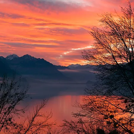 Apartment Alpenblick - Direct View Brienz (Bern)