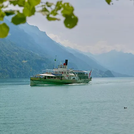 Alpenblick - Direct View *