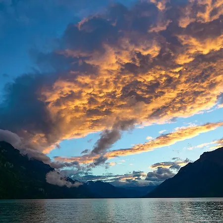 Appartamento Alpenblick - Direct View