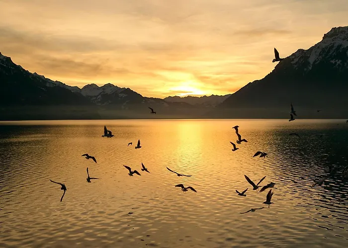 Alpenblick - Direct View Lejlighed