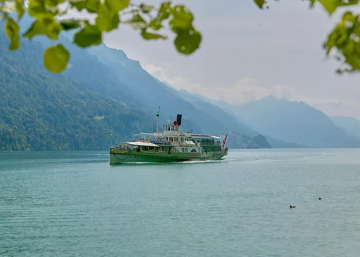 Alpenblick - Direct View *